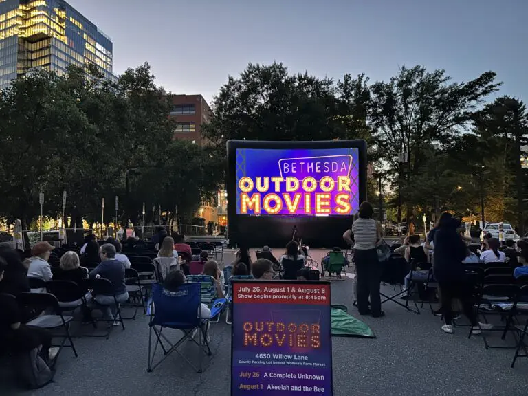Outdoor Movies 8.8.25 56 768x576