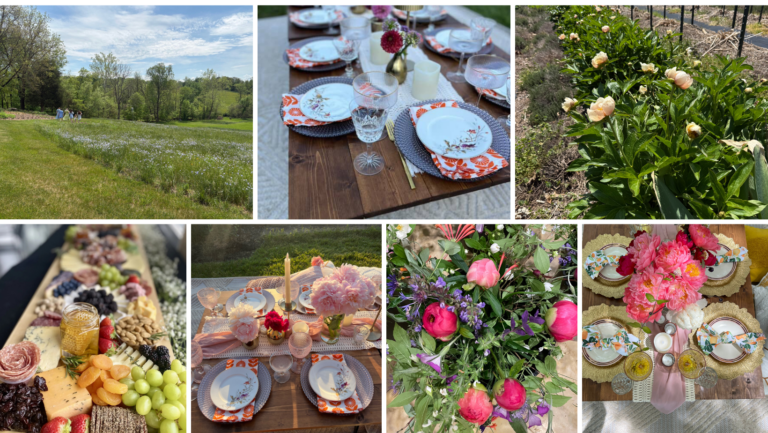 Flower Farm Picnic 768x433