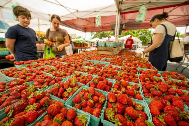 Five Ways to Get Your Strawberry Fix in Montgomery County