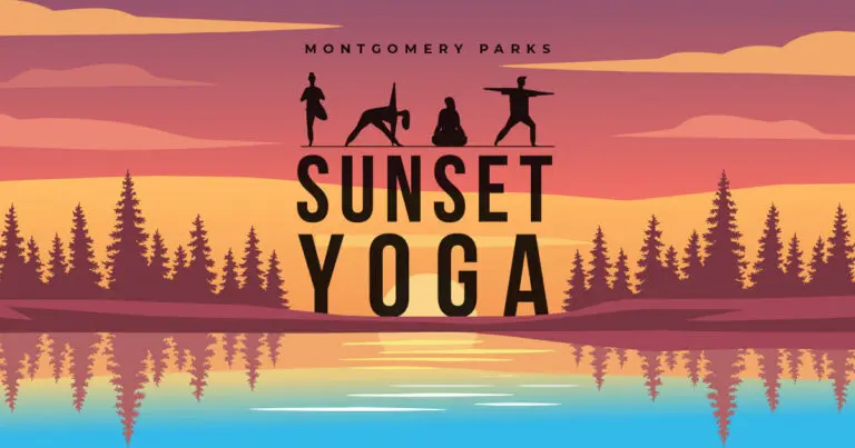 Sunset Yoga 2026 web 768x403