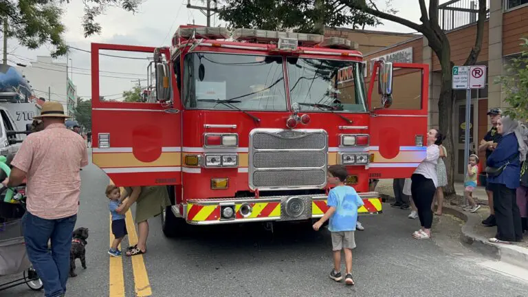 NNO 25 11 1 768x432