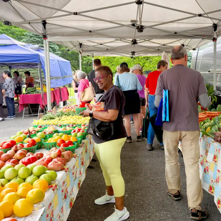 MV Farmers Market 768x768