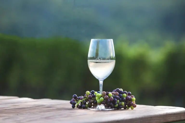 darker wine grapes 1 768x512