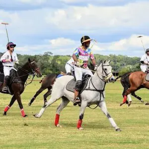 Congressional Polo Club Events