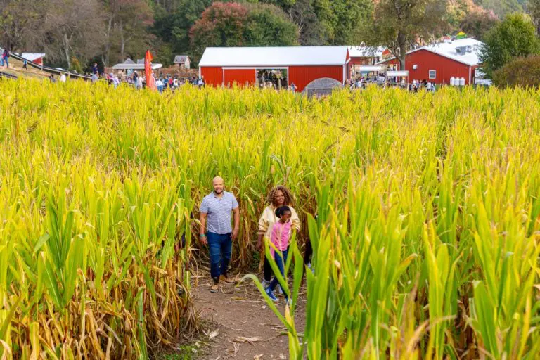 Plan a Perfect Fall Family Day in Montgomery County