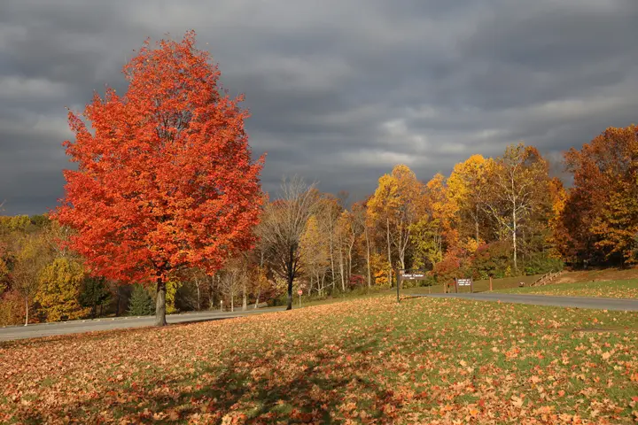 blackhillregionalpark