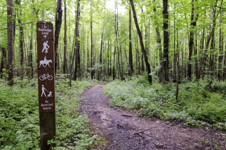 bucklodge 1024x683 1 768x512