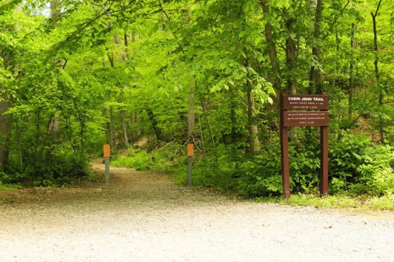 cabinjohnstreamvalley 1024x683 1 768x512
