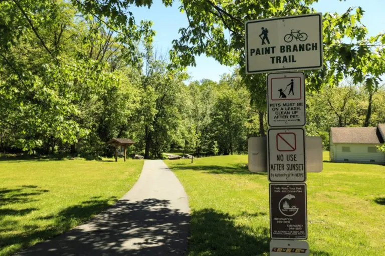 paintbranchtrail 1024x683 1 768x512
