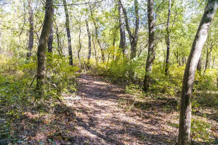 upperrockcreek 1024x683 1 768x512