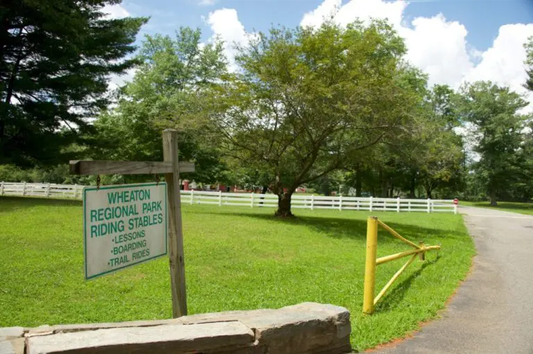wheatonregional 1024x681 1 768x511