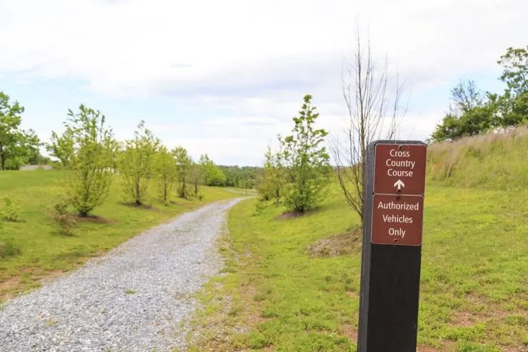 woodstock entrance 1024x683 1 768x512