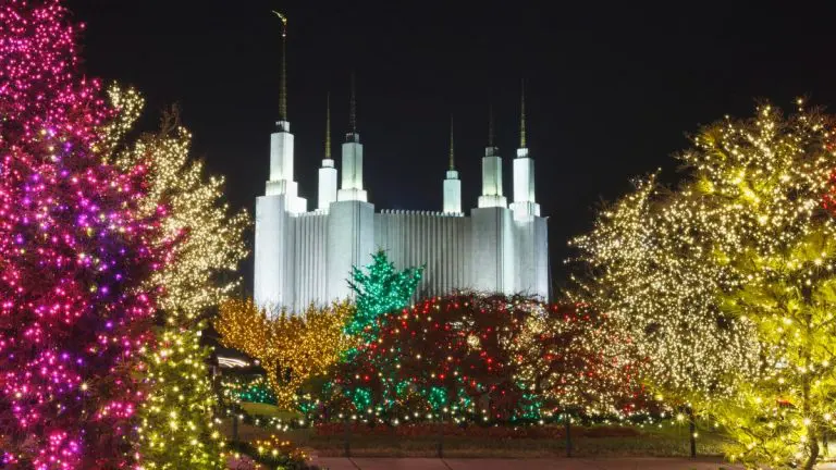 Festival of lights 768x432