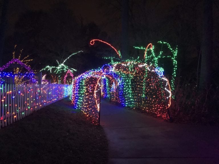 First Timers' Guide to the Garden of Lights at Brookside Gardens