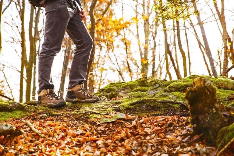 7 Great Hikes to See Fall Foliage Near DC