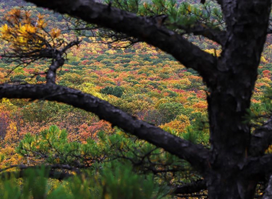 Sugarloaf Mountain in Montgomery County, Maryland
