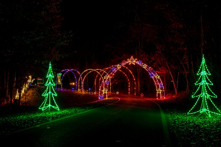 Christmas garland with lights b q