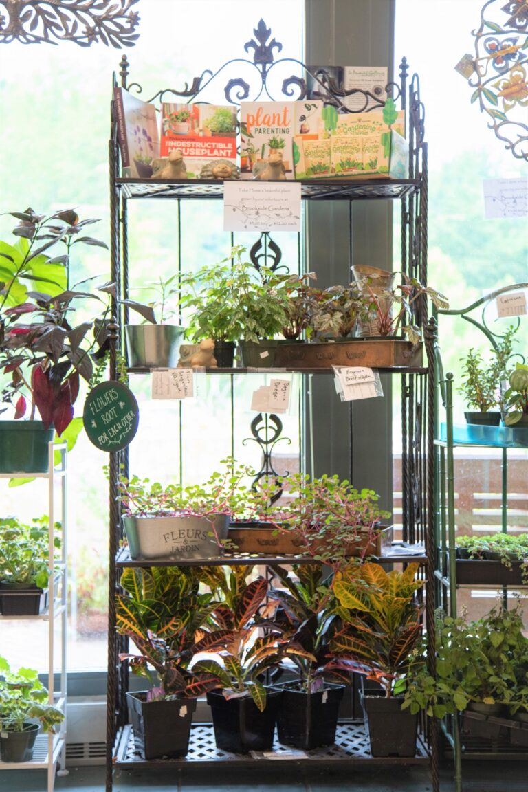 brooksidegardens shops plants scaled 1 768x1152