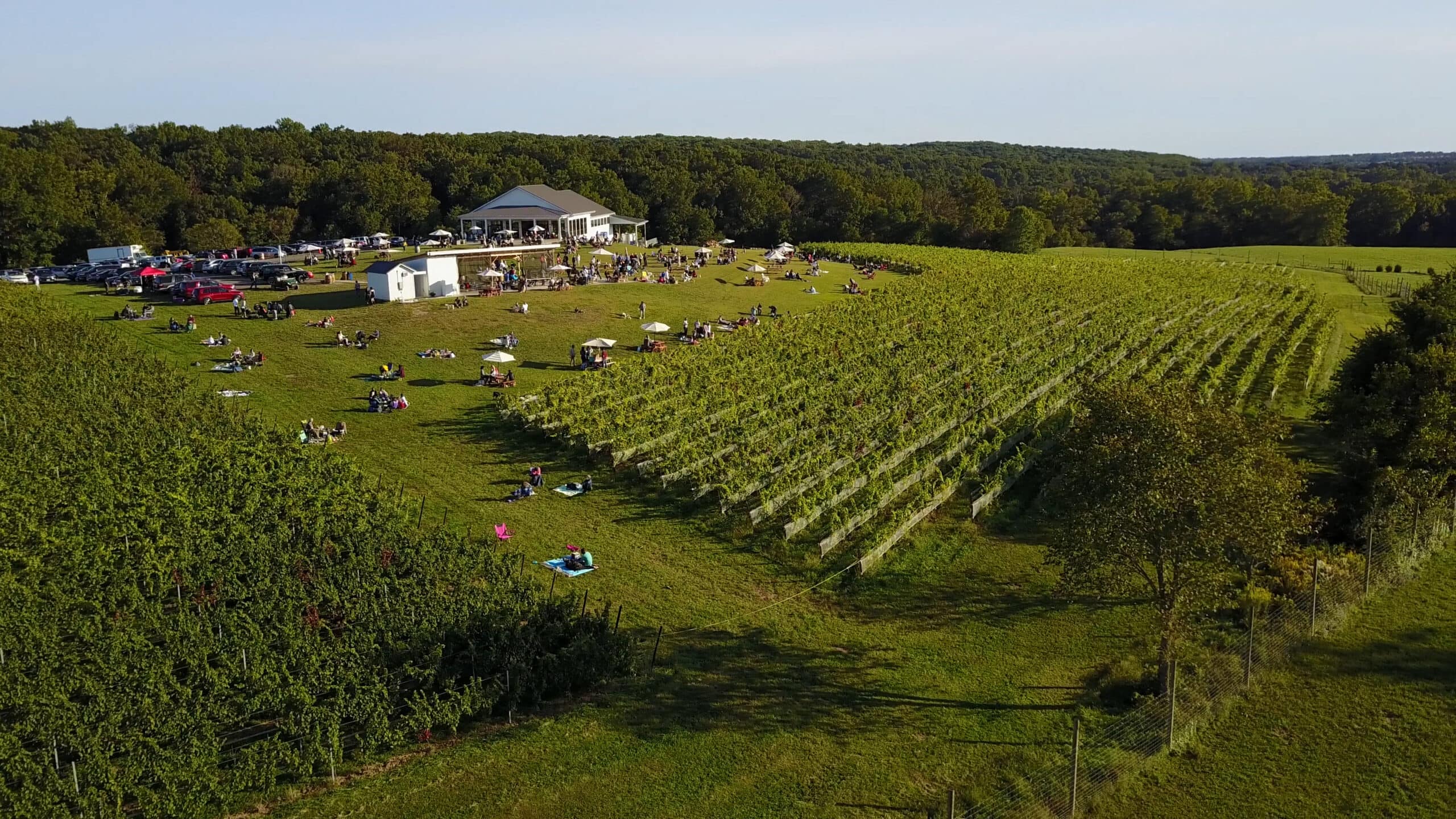 Take a MoCo Wine Tour During Maryland Wine Month Visit Montgomery