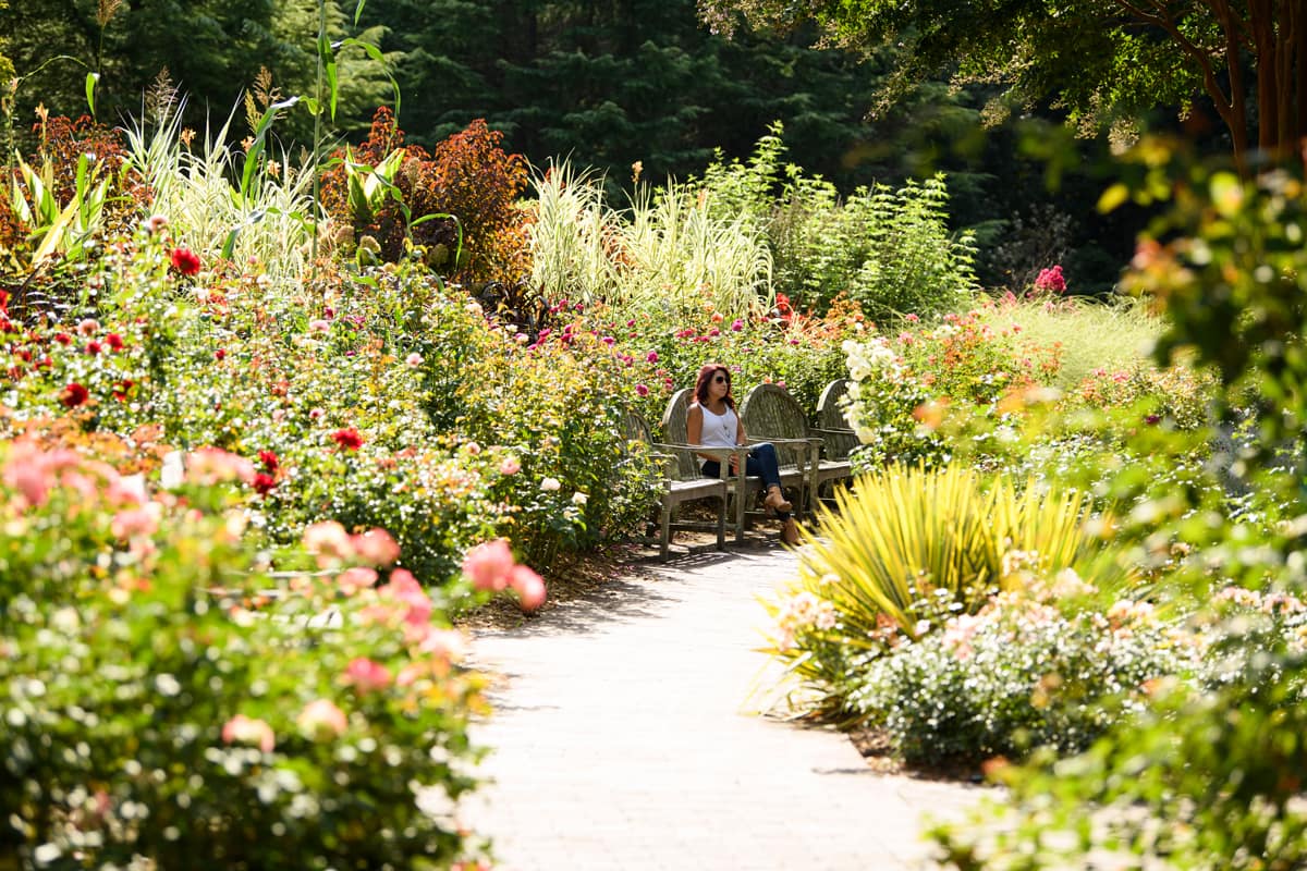 Brookside Gardens - Visit Montgomery