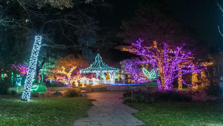 First Timers’ Guide to the Garden of Lights at Brookside Gardens