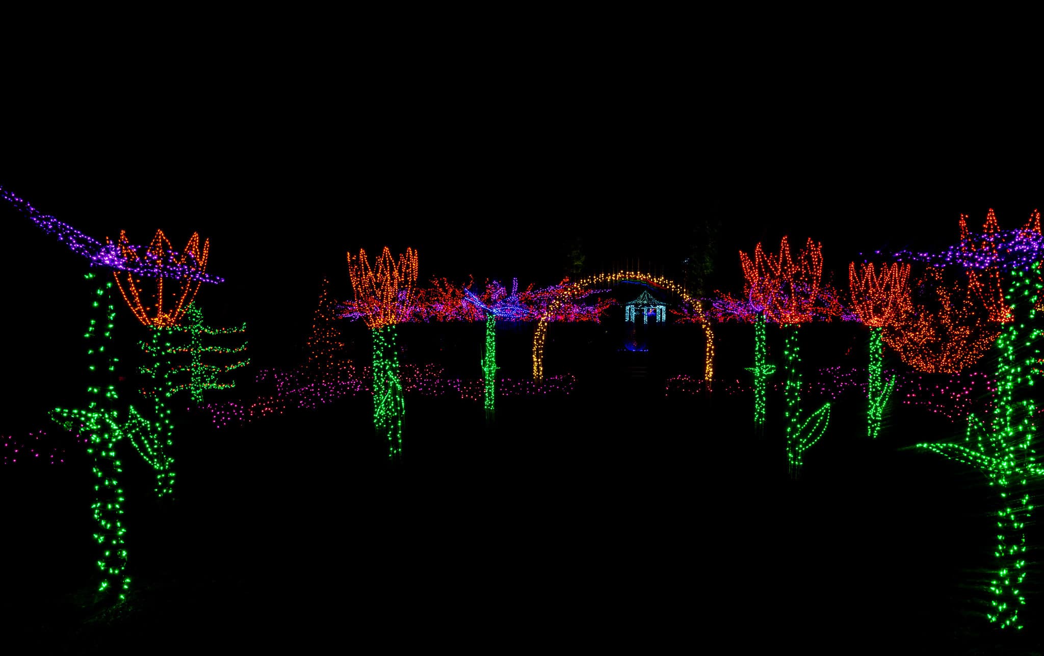 First Timers’ Guide to the Garden of Lights