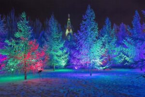 Best Winter Light Displays in Montgomery County - Visit Montgomery