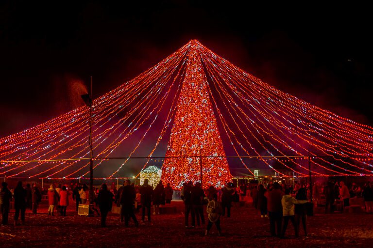 An Insider’s Guide to Winter City Lights