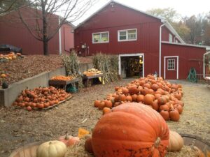 44th Annual Pumpkin Festival