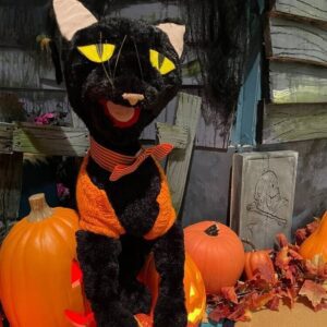 Bixby the Cat: A Halloween Adventure