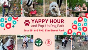 Bethesda Yappy Hour & Pop-Up Dog Park