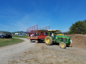 Fall Fun at the Orchard