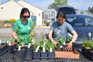 Native Plant Sale