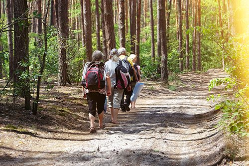 walking group hiking group