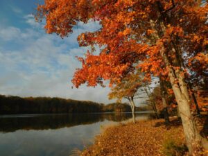 Experience the True Colors of Fall: EnChroma Lenses at Seneca Creek State Park