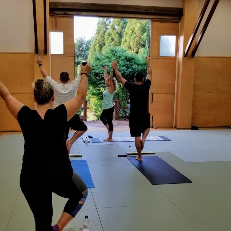 Yoga in the Dojo 768x768