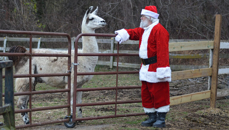 santa banner 768x435