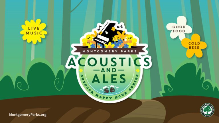 Acoustics and Ales Piano 25 video 1800x1013 1 768x432