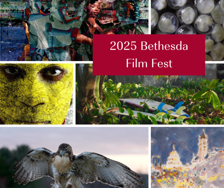 2025 Bethesda Film Fest Calendar 768x644