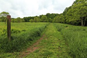 Herp Hunt at Rachel Carson