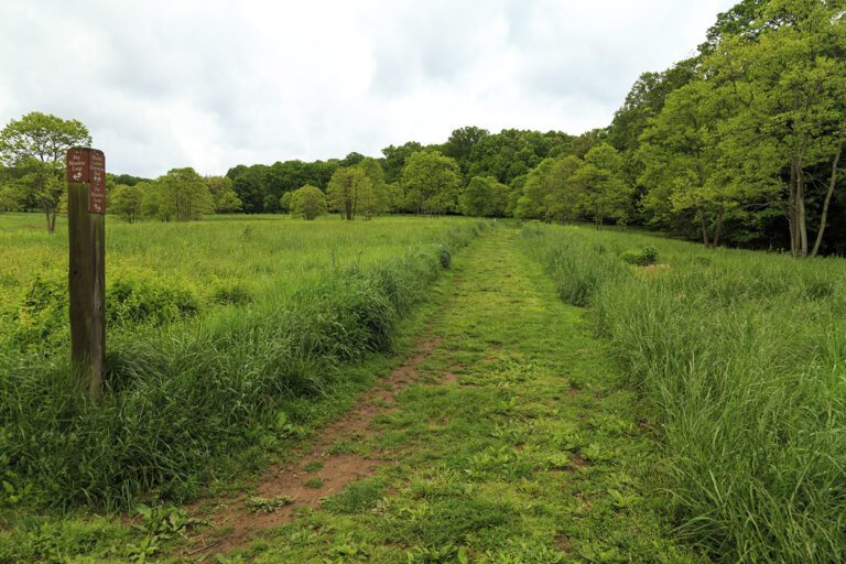 Rachel Carson Conservation Park 1 768x512