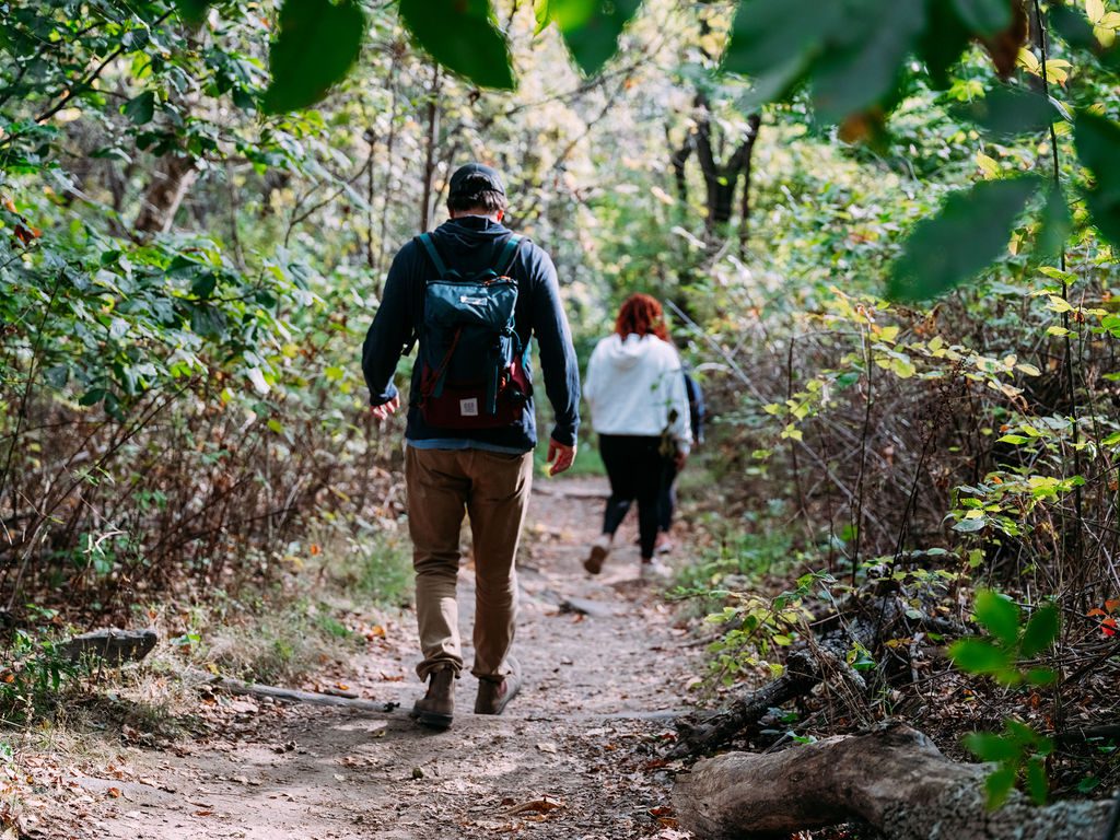 backpack brands like jansport Most Popular Backpack Brands in 2026 (Ranked & Compared)