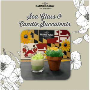 Sea Glass & Candle Succulents Workshop