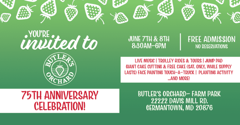 75th Anniversary Invite Horizontal 768x402