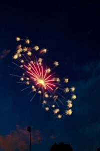 Independence Day Celebration