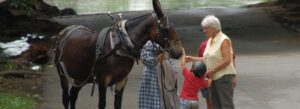 26th Annual Heritage Days
