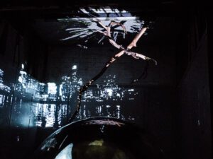 VisArts Exhibition – Chris Combs and Ceci Cole McInturff: Unforeseen