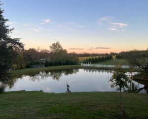 Farm Tour: Honey Acres Farm
