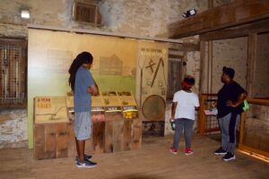 Summer Family Day at Woodlawn Manor Cultural Park