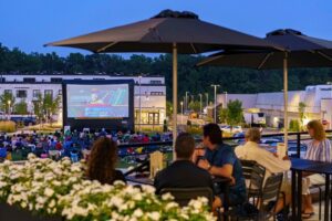 Movies on the Green